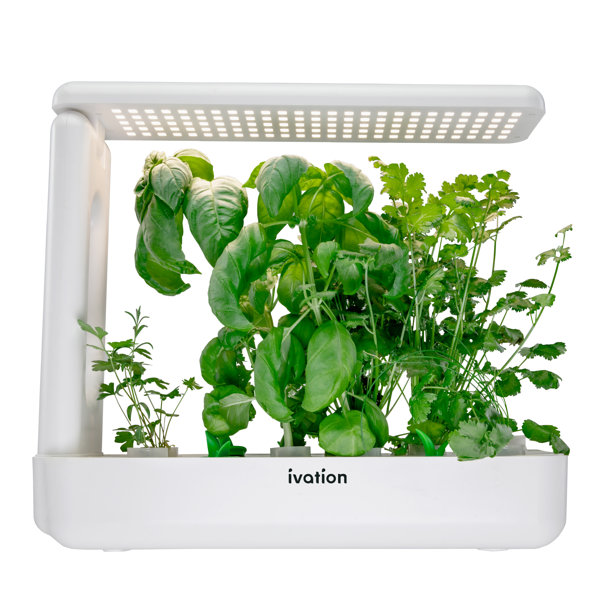Ivation Herb Indoor Garden Growing Kit & Reviews Wayfair